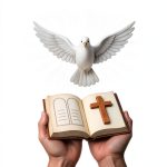 The Catholic Bible for Beginners by [Brand Name]-0